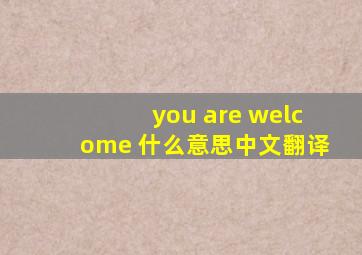 you are welcome 什么意思中文翻译